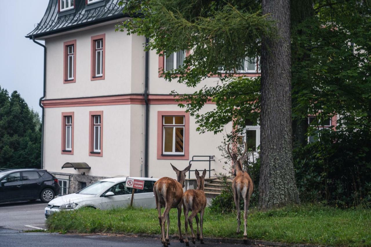 Tatrystay Apartmany Lomnica Tatranská Lomnica Buitenkant foto